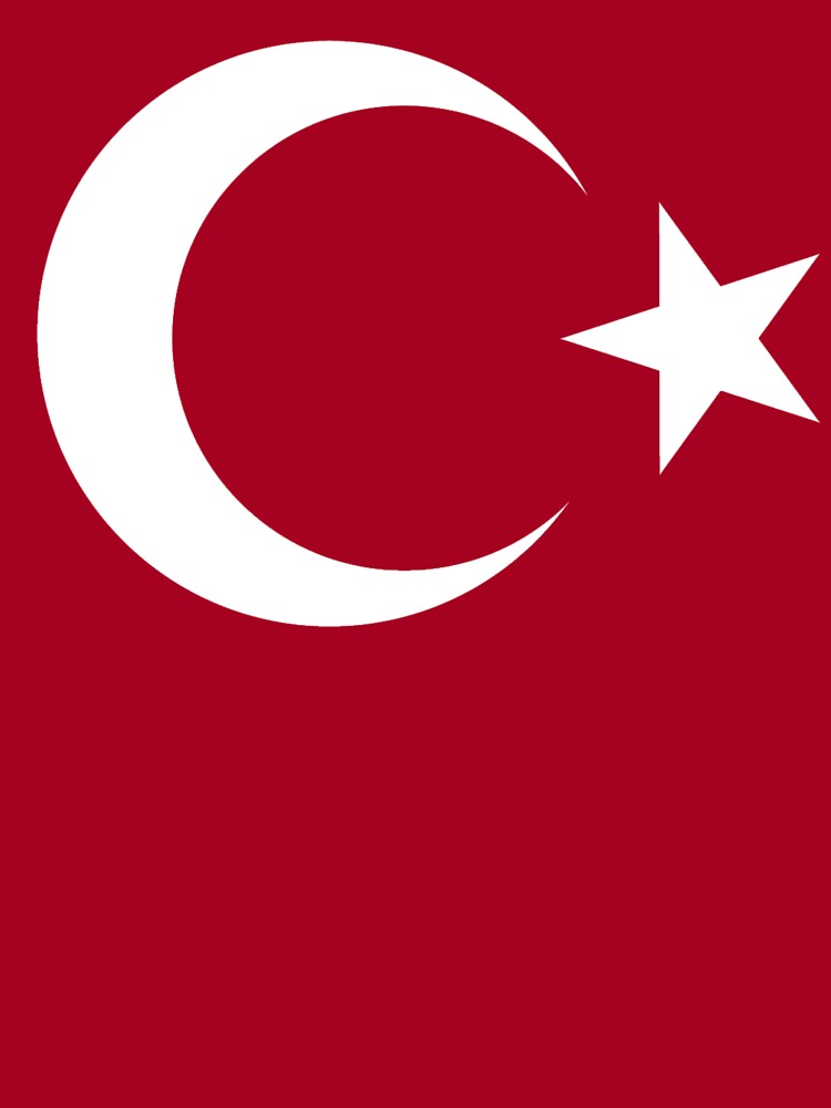 Turkische Flagge Truthahn Turkisch Halbmond Flagge Der Turkei Stern Rein Und Einfach Auf Rot Kinder T Shirt Von Tomsredbubble Redbubble