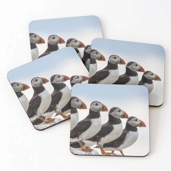 Item preview, Puffin wall  designed and sold by tynesidephotos.