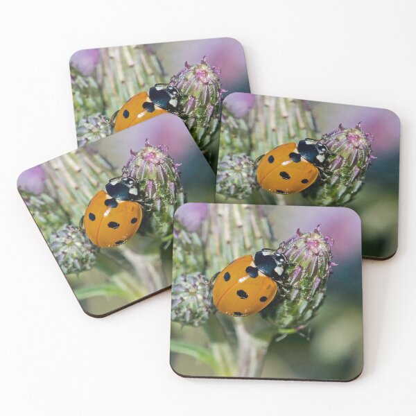 Item preview, Ladybird Climbing designed and sold by DonMc.