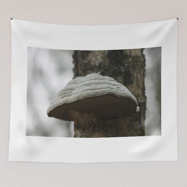 Item preview, Tinder fungus designed and sold by cuprum.