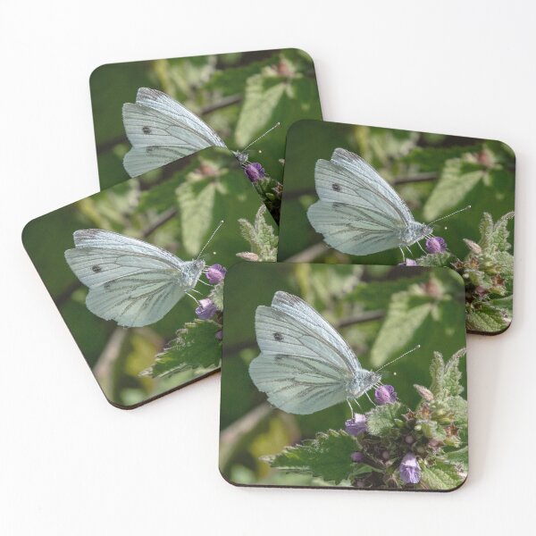 Item preview, Grey Veined White Butterfly designed and sold by DonMc.