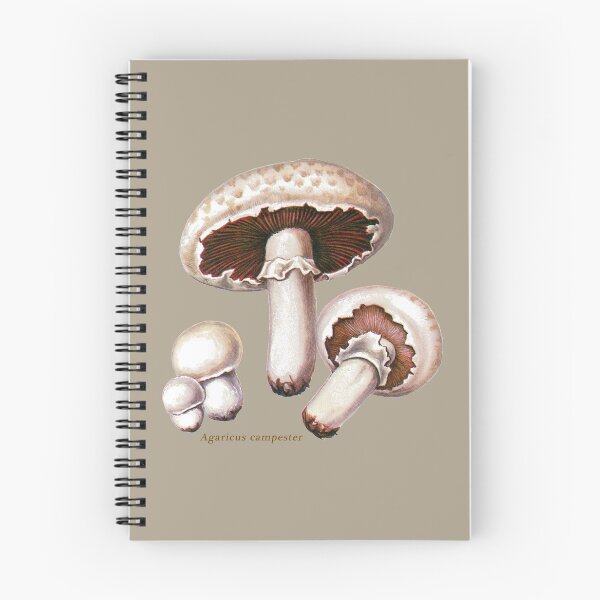 Item preview, Agaricus campestris, the ‘field’ or ‘meadow’ mushroom. designed and sold by Squirrox.