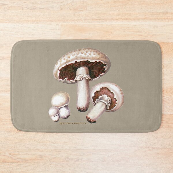 Item preview, Agaricus campestris, the ‘field’ or ‘meadow’ mushroom. designed and sold by Squirrox.