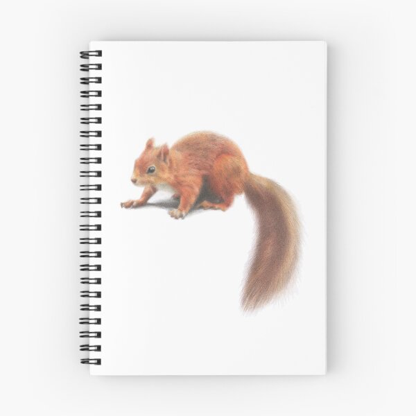 Item preview, Red Squirrel designed and sold by Grey Heron Images.