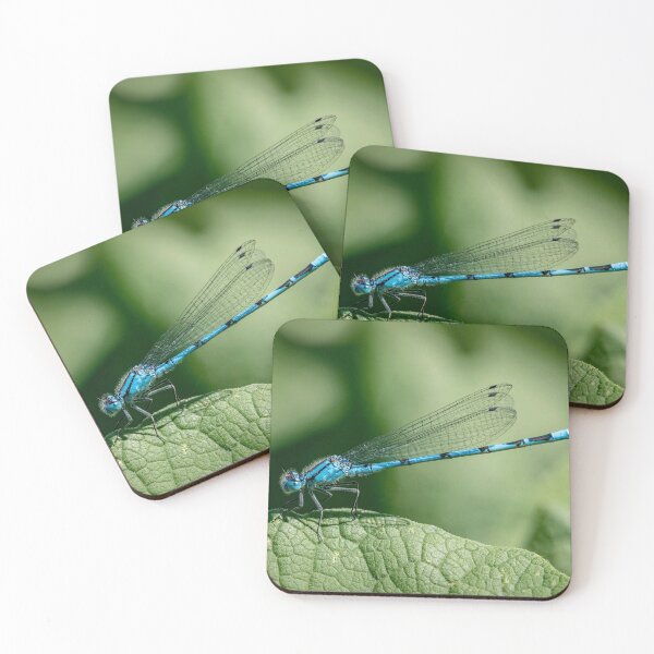 Item preview, Common Blue Damselfly on Leaf designed and sold by DonMc.