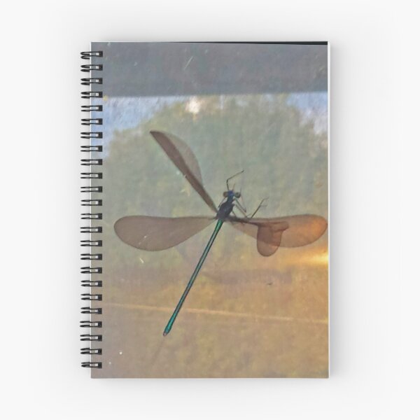 Item preview, "Dragonfly Captured" designed and sold by Robert Regenold's Art Shop.