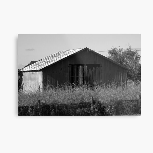 Abandoned shed Metal Print