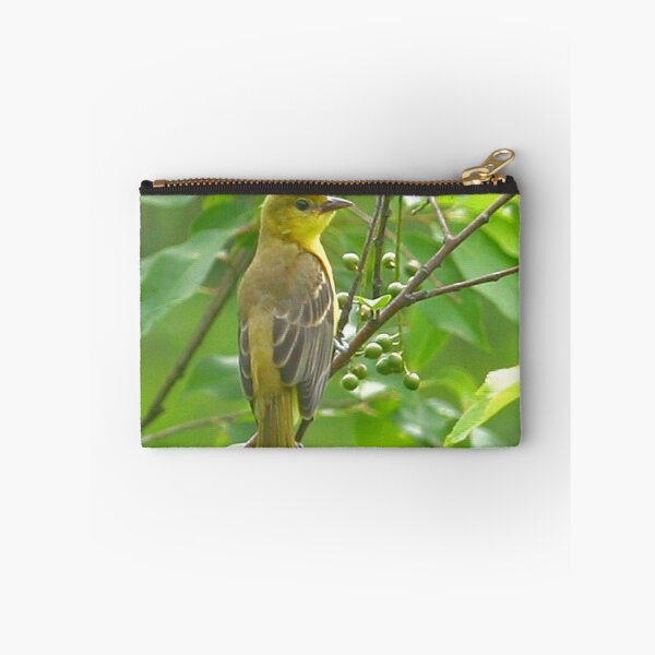 Item preview, Orchard Oriole designed and sold by Enola Gay Wagner.