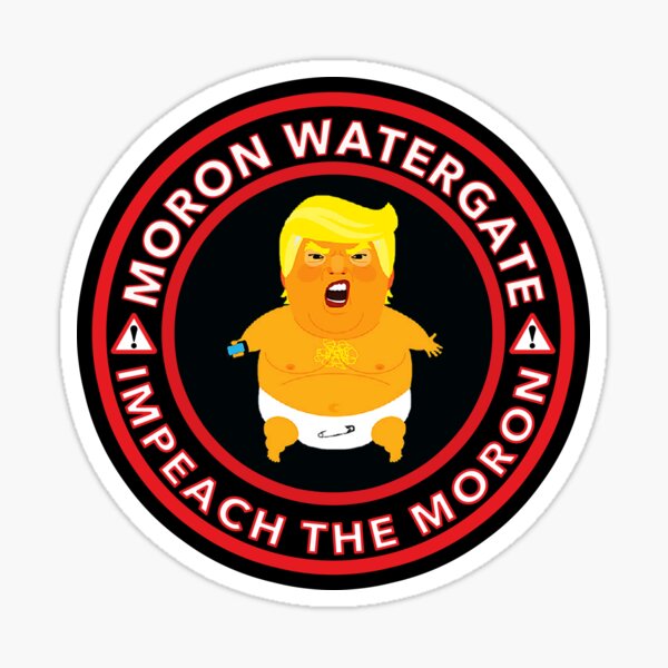 Vista previa del artículo con la obra «Moron Watergate - Acusar al imbécil», diseñado y vendido por Thelittlelord.
