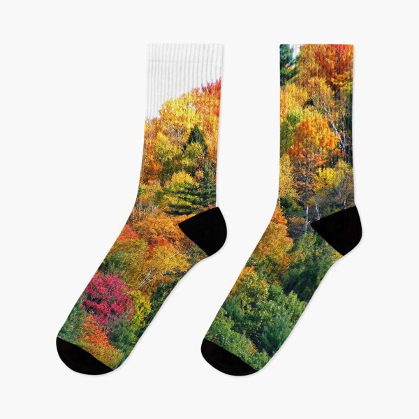Item preview, Ontario in the Fall, (Please view large) designed and sold by AnnDixon.