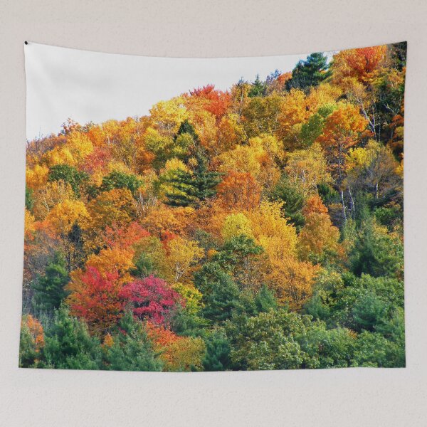 Item preview, Ontario in the Fall, (Please view large) designed and sold by AnnDixon.