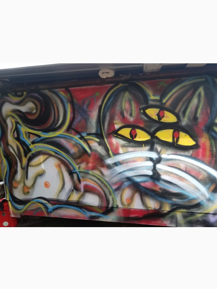 3rd eye kitty by bsteveb