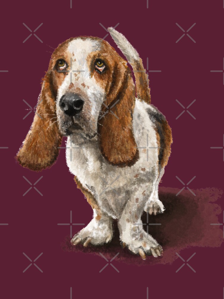 The Basset Hound Dog by elspethrose