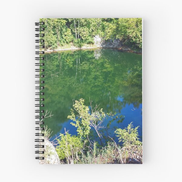 Item preview, "Reflection" designed and sold by Robert Regenold's Art Shop.