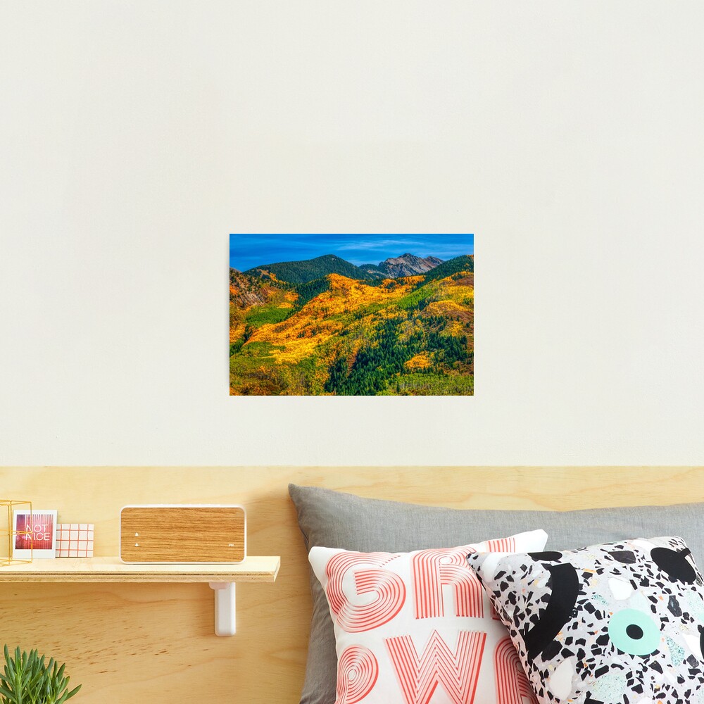 Aspen Golden Quilt Photographic Print