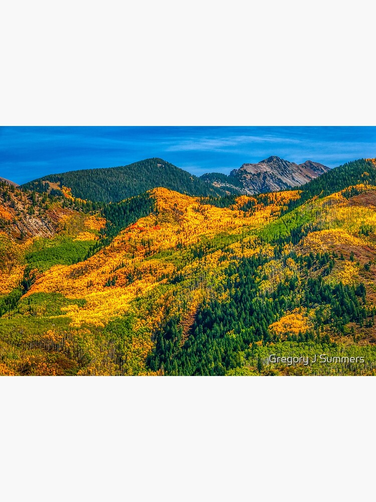 Aspen Golden Quilt by nikongreg