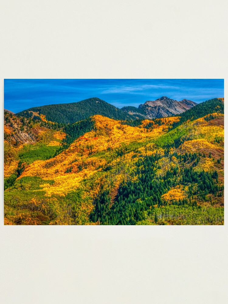 Alternate view of Aspen Golden Quilt Photographic Print