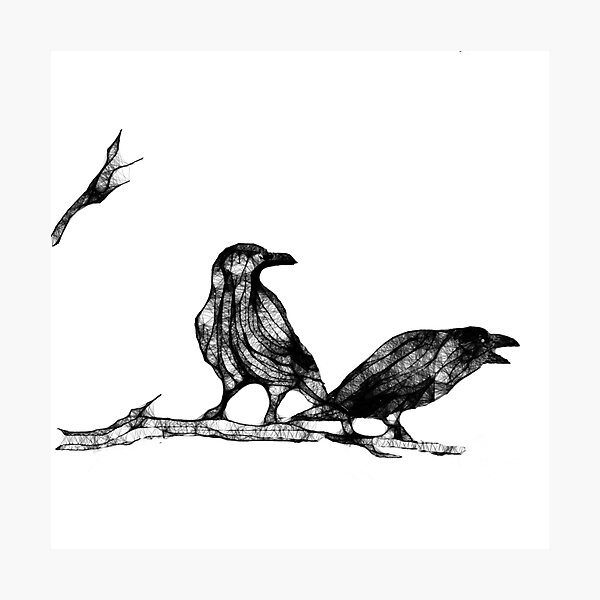 2 ravens Photographic Print