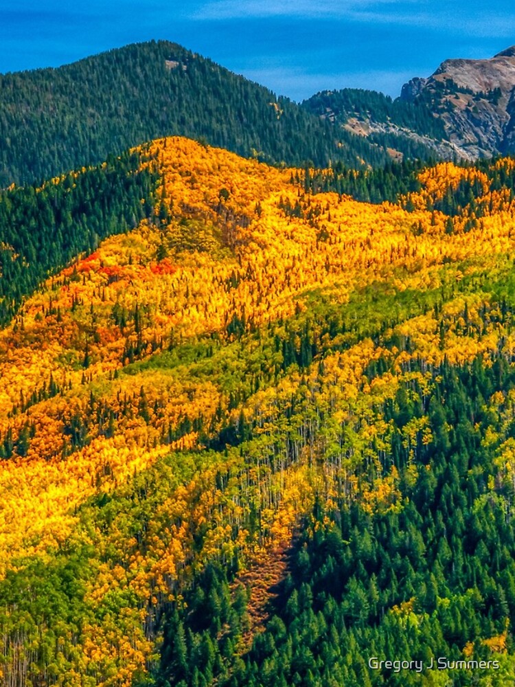 Aspen Golden Quilt by nikongreg