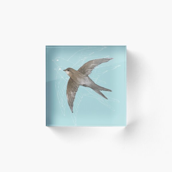 Artikelvorschau,  Common Swift in der Luft entworfen und verkauft von Bwiselizzy.