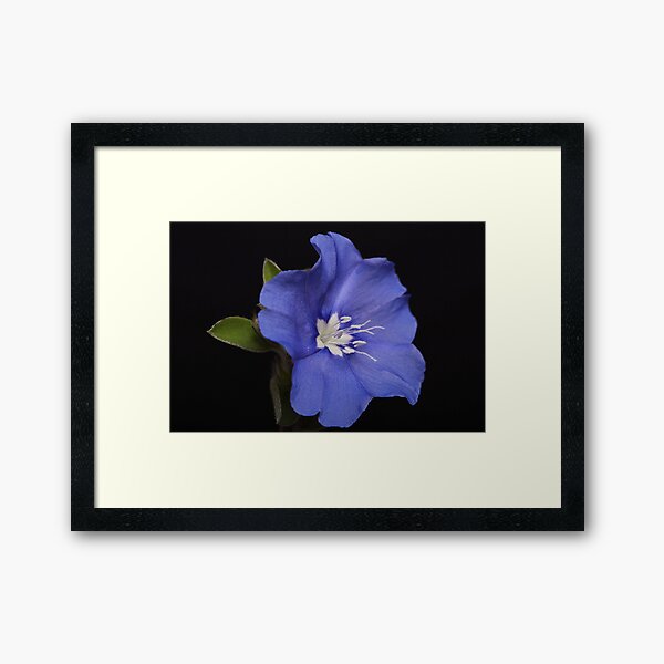 Item preview, Delicate Stamens designed and sold by Lincoln Stevens.