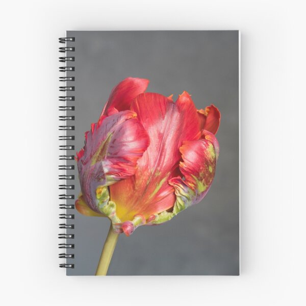 Item preview, Parrot tulip designed and sold by Ilze Lucero.