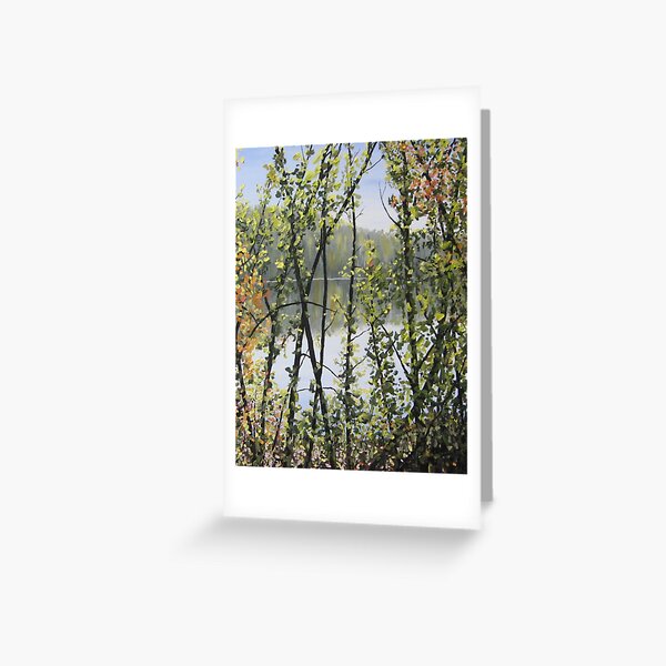 Glimpse of the River - cropped (c) Ian Ridpath 2010 Greeting Card