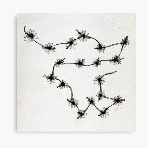 Daisy Chains - Illustration Canvas Print