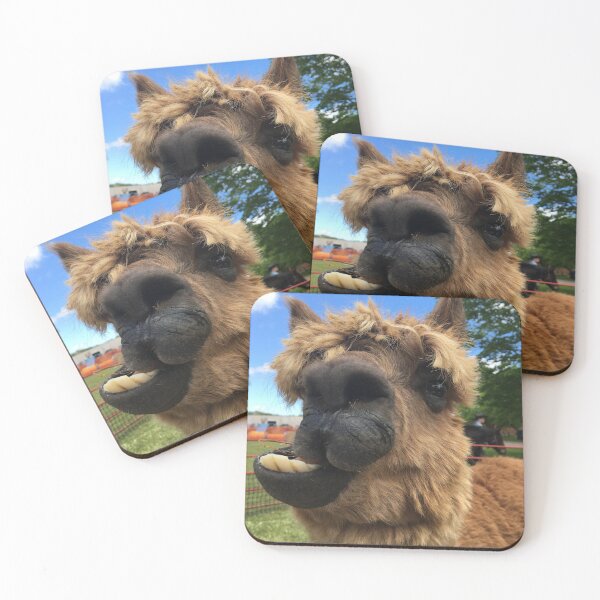 Item preview, Alpaca Dabba Doo Funny Face designed and sold by Fly A Kite Kerr.