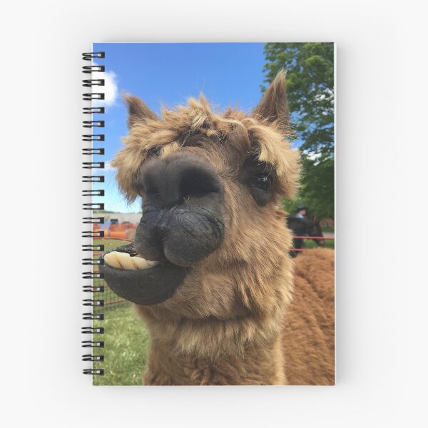 Item preview, Alpaca Dabba Doo Funny Face designed and sold by Fly A Kite Kerr.
