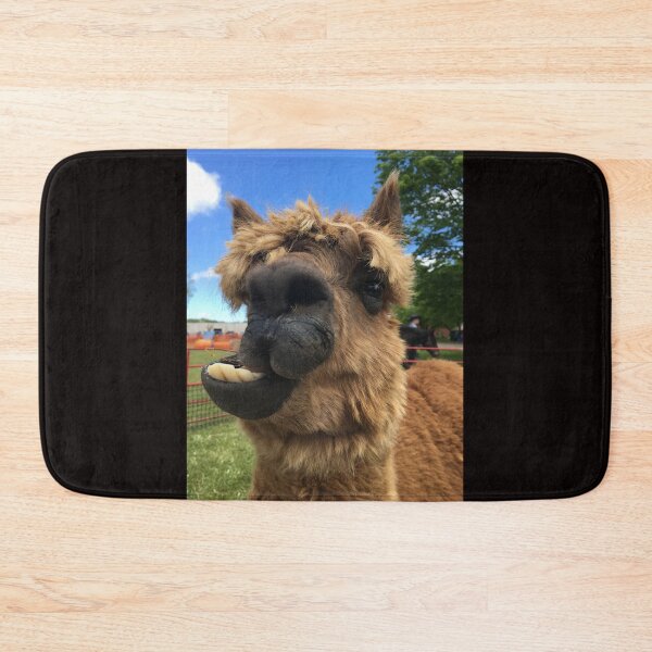 Item preview, Alpaca Dabba Doo Funny Face designed and sold by Fly A Kite Kerr.