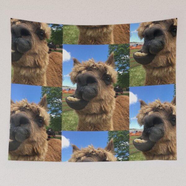 Item preview, Alpaca Dabba Doo Funny Face designed and sold by Fly A Kite Kerr.