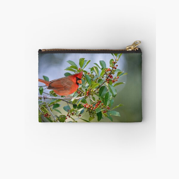 Item preview, Male Northern Cardinal Perched in American Holly Tree designed and sold by Bonnie T.  Barry.