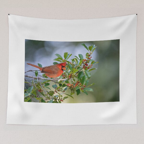 Item preview, Male Northern Cardinal Perched in American Holly Tree designed and sold by Bonnie T.  Barry.