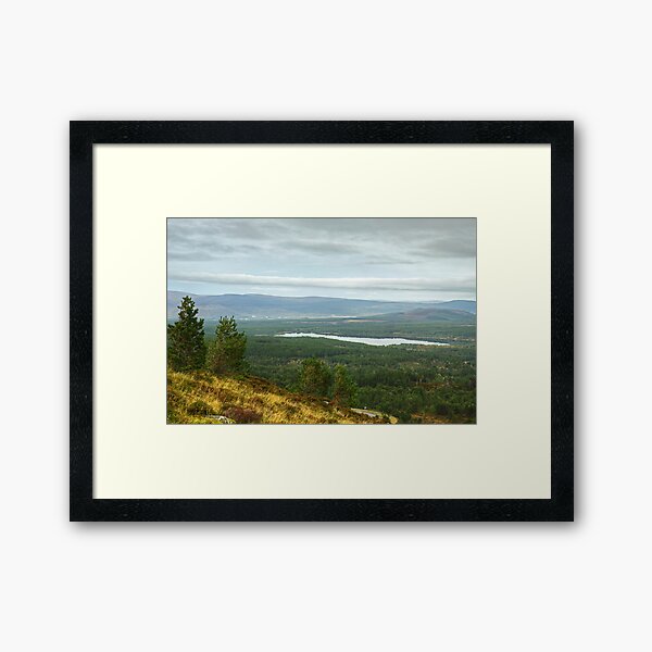 Item preview, Loch Morlich...Mid Morning designed and sold by Jamie  Green.