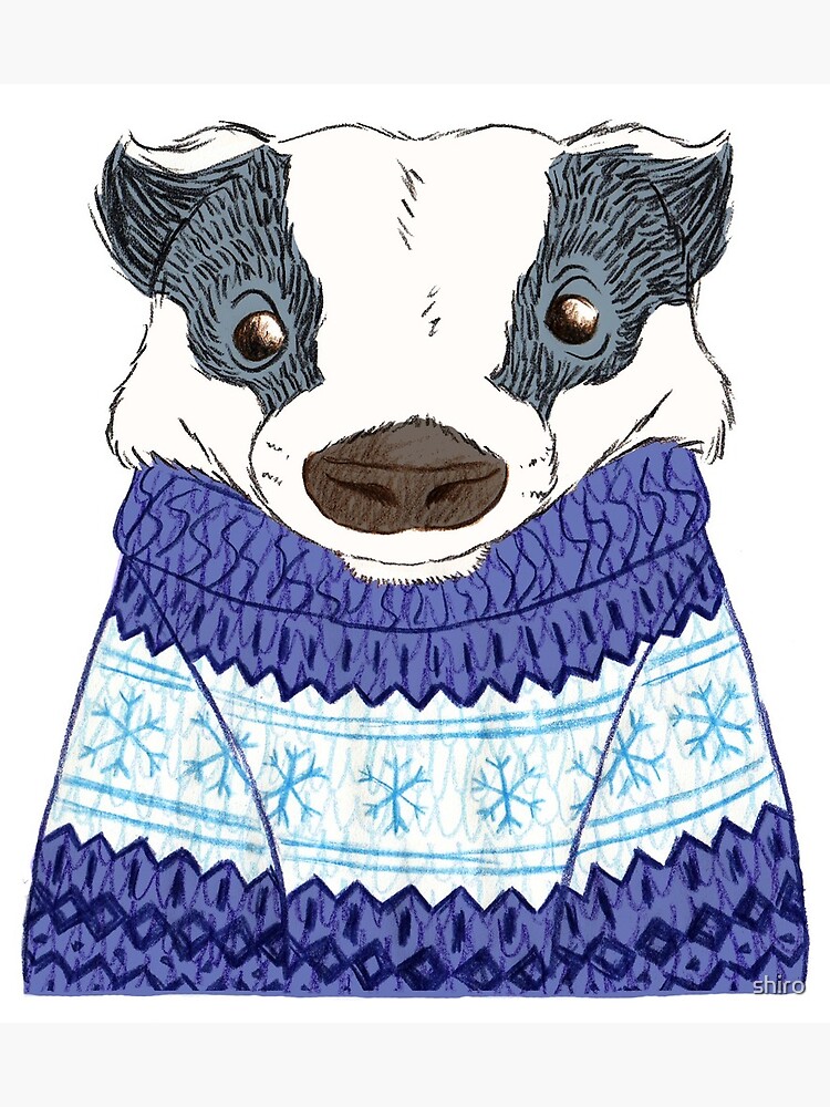 Badger sale christmas jumper