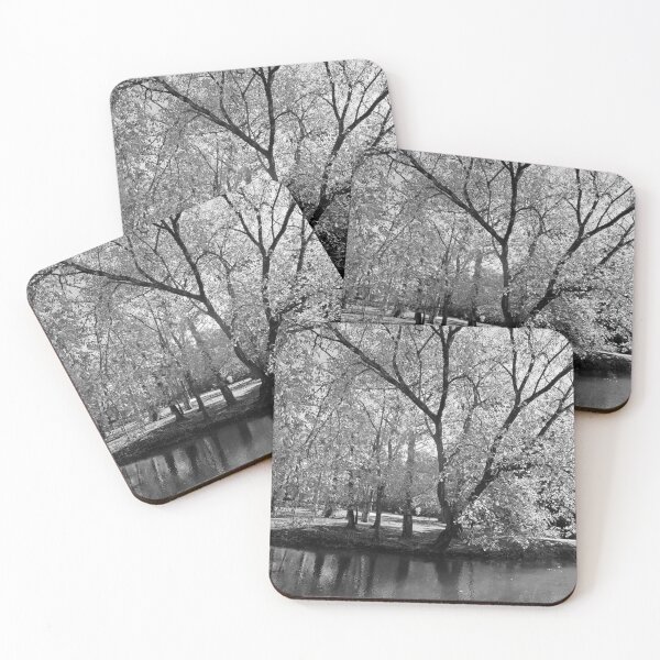Item preview, Orr Park and Shoal Creek in Black and White designed and sold by Richard Nix.