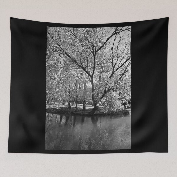 Item preview, Orr Park and Shoal Creek in Black and White designed and sold by Richard Nix.