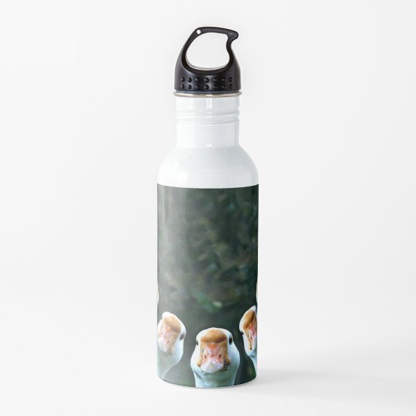 Sticky Beak - by Avril Thomas Water Bottle
