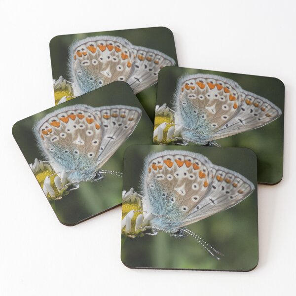 Item preview, Common Blue designed and sold by Adrian Rowley.