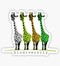 4 Giraffes Sticker