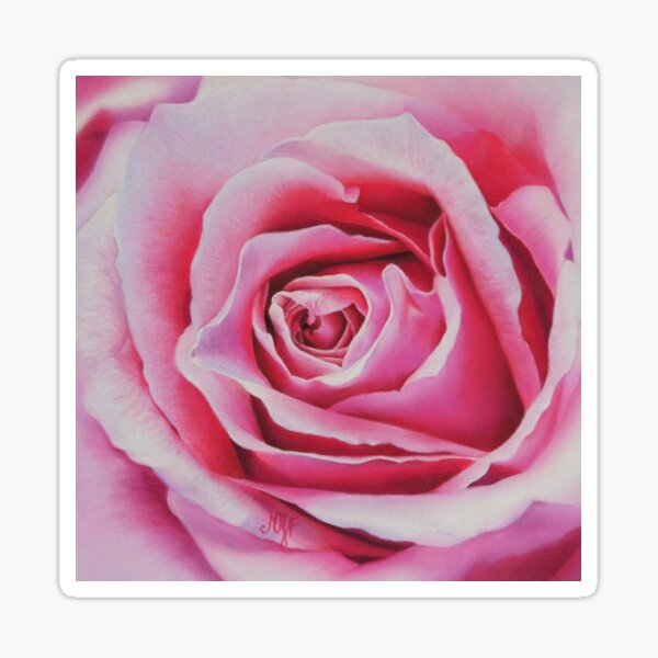 Rose rose Sticker