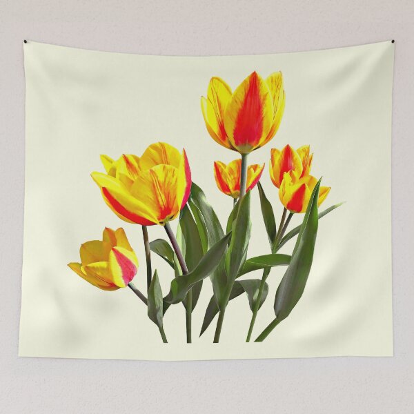 Item preview, Red and Yellow Striped Tulips designed and sold by Susan Savad.