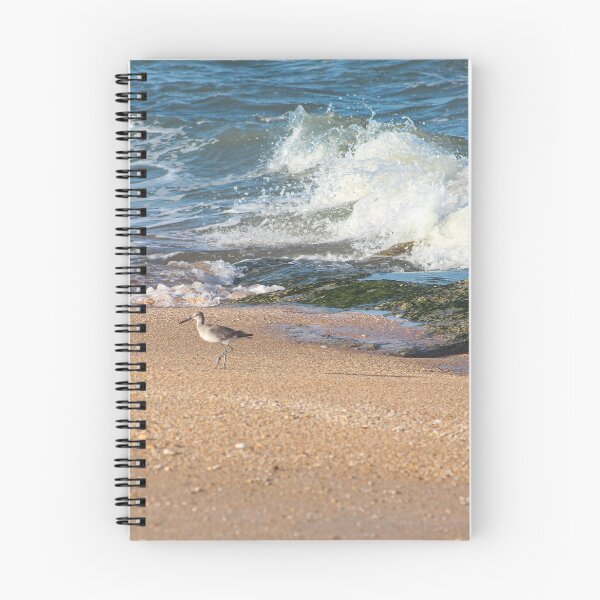 Item preview, Coquina Piper designed and sold by Bob Hardy.