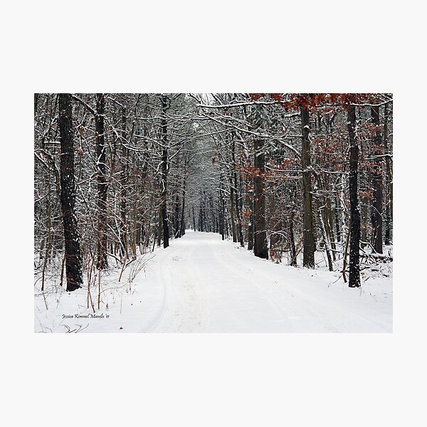 The Cold Light Of Day Photographic Print