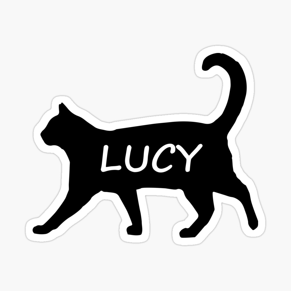 Cat luy Lucy cat