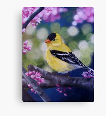 Yellow Finch Among the Blossoms Canvas Print