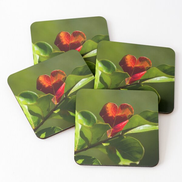 Item preview, When Light and Timing Meet designed and sold by Brenda Burnett.