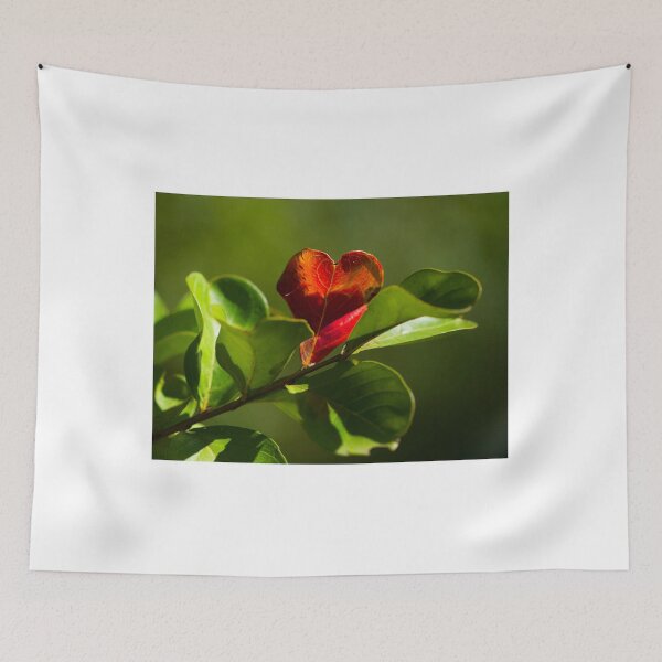 Item preview, When Light and Timing Meet designed and sold by Brenda Burnett.