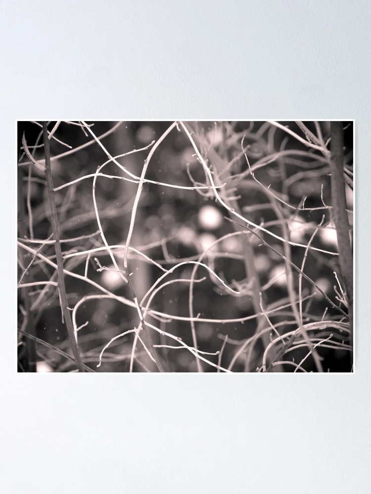 Thumbnail 1 of 3, Poster, Winter In Abstract designed and sold by Johnny Joo.